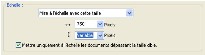 MACROMEDIA FIREWORKS 8-BIEN DMARRER AVEC FIREWORKS - Traitement des fichiers d'images de grande taille - 1