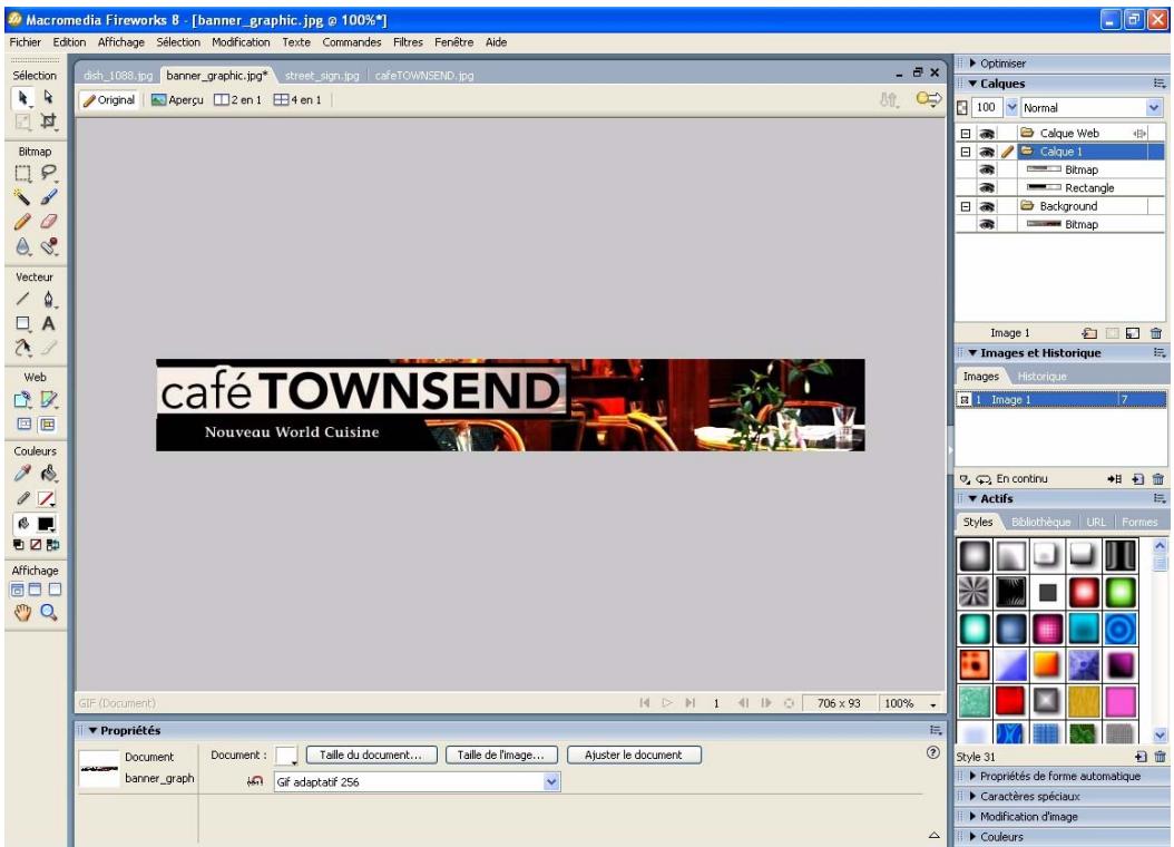 MACROMEDIA FIREWORKS 8-BIEN DMARRER AVEC FIREWORKS - Se familiariser avec l'espace de travail fireworks - 1