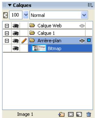 MACROMEDIA FIREWORKS 8-BIEN DMARRER AVEC FIREWORKS - Affichage de l'image exportée - 1