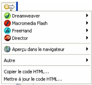 MACROMEDIA FIREWORKS 8-UTILISATION DE FIREWORKS - Bouton Exportation rapide - 1
