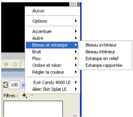 MACROMEDIA FIREWORKS 8-UTILISATION DE FIREWORKS - Application de filtrés en direct - 1