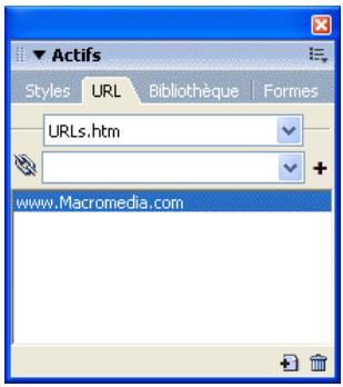 MACROMEDIA FIREWORKS 8-UTILISATION DE FIREWORKS - Utilisation des URL - 1