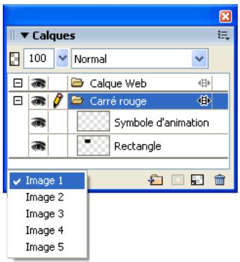 MACROMEDIA FIREWORKS 8-UTILISATION DE FIREWORKS - Affichage des objets dans une image spécifique - 1