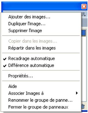 MACROMEDIA FIREWORKS 8-UTILISATION DE FIREWORKS - Utilisation du menu Option des groupes de panneaux ou des panneaux - 1
