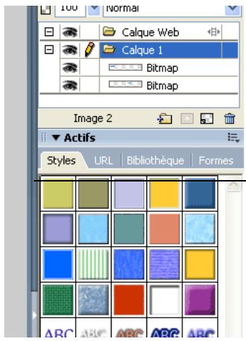 MACROMEDIA FIREWORKS MX 2004-BIEN DMARRER AVEC FIREWORKS - Organisation des groupes de panneaux et des panneaux - 1