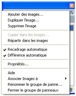MACROMEDIA FIREWORKS MX 2004-BIEN DMARRER AVEC FIREWORKS - Utilisation du menu Option des groupes de panneaux ou des panneaux - 1