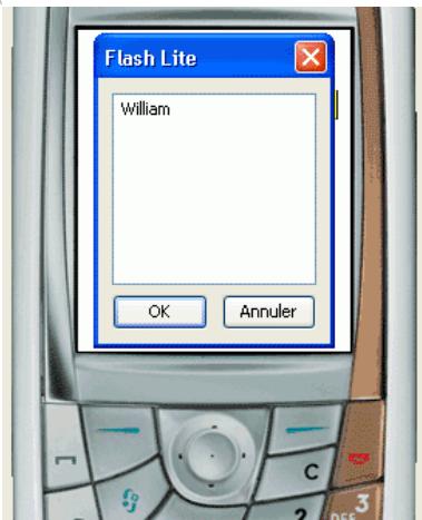 MACROMEDIA FLASH 8-DEVELOPPEMENT D APPLICATIONS FLASH LITE - Pour créer un exemple d'application de champ de texte : - 3