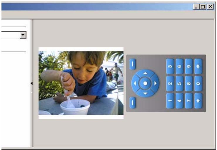 MACROMEDIA FLASH 8-DEVELOPPEMENT D APPLICATIONS FLASH LITE - Fonctionnalités de zoom et de rotation de l'émulateur flash lite (flash professionnel uniquement) - 1