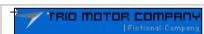 MACROMEDIA FLASH MX 2004-APPRENDRE UTILISER FLASH - Modifier la zone active d'un bouton - 1