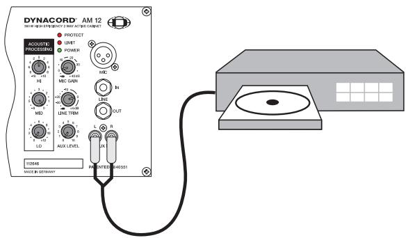 DYNACORD AM 12 - Setup and Connections - 5