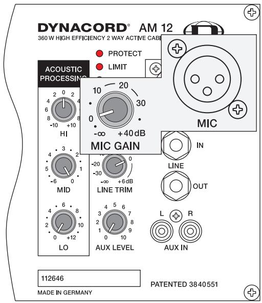DYNACORD AM 12 - LINE IN (entrée ligne) - 1