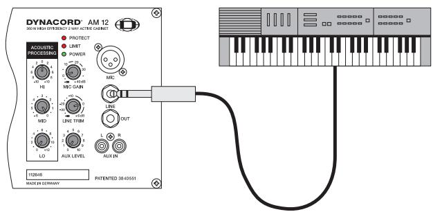 DYNACORD AM 12 - Setup and Connections - 4