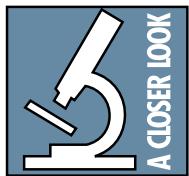 MACKIE ONYX 1640 - Commutateur MIC/HI-Z (Voies 1 et 2) - 1