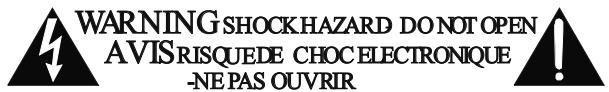 ROTEL RKF-100 - Instructions importantes concernant la sécurité - 1