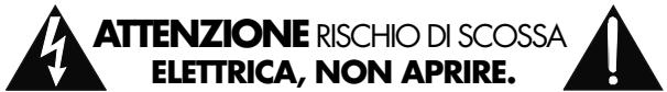 ROTEL RKF-100 - Informazioni di Sicurezza - 1