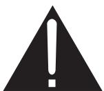 ROTEL RSP-1069 - CAUTION RISK OF ELECTRIC SHOCK DO NOT OPEN - 1