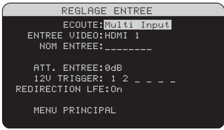 ROTEL RSP-1069 - Configuration de l'entrée Multi - 1