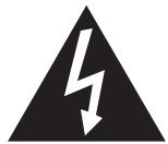 ROTEL RSS-900 - APPLICABLE FOR USA, CANADA OR WHERE APPROVED FOR THE USAGE - 1