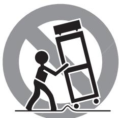 ROTEL RSS900 - WARNING: - 1