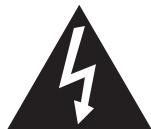 ROTEL RSS900 - APPLICABLE FOR USA, CANADA OR WHERE APPROVED FOR THE USAGE - 1