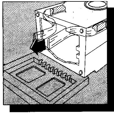 CASTOR C8 - Remarque - 4