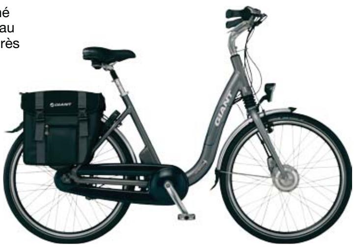 GIANT BICYCLES TWIST ELEGANCE CS - 1