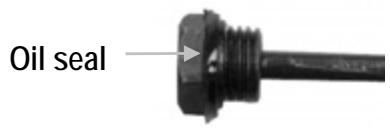 ATIKA ASP 5-UG - How do I check the oil level? - 2