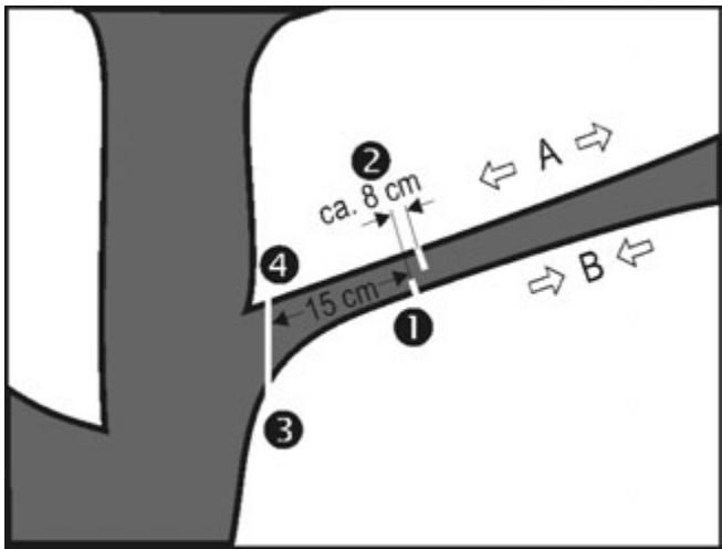 ATIKA KS 2201-40 - Motorsag - 4