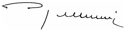 ATIKA RW 1600 - EG-Konformitätserklärung - 1