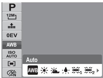 AGFAPHOTO COMPACT 102 - Balance des blancs - 1