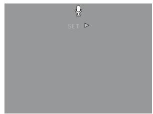 AGFAPHOTO COMPACT 102 - Modifier l'affichage de I'écran LCD - 8