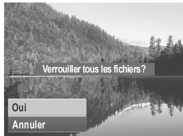 AGFAPHOTO COMPACT 102 - Pour protégé des fichiers : - 5