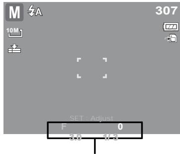 AGFAPHOTO COMPACT 102 - Utilisation du mode Exposition manuelle - 3