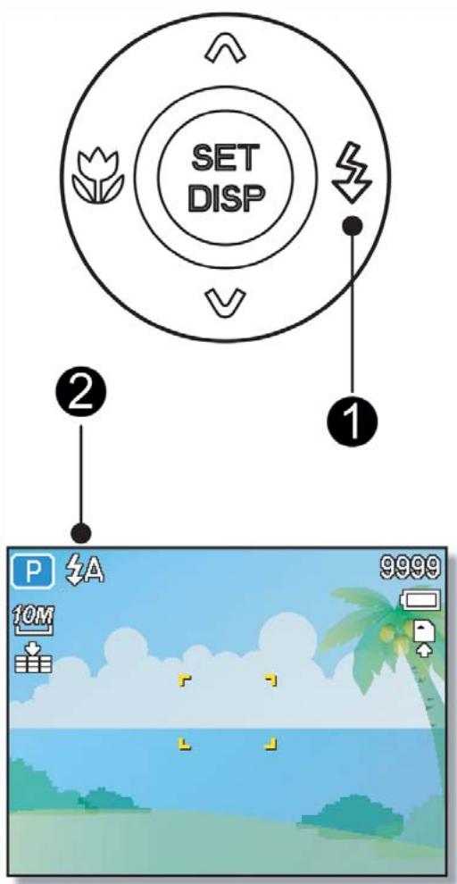 AGFAPHOTO DC-1033M - Réduction des yeux rouges: - 1