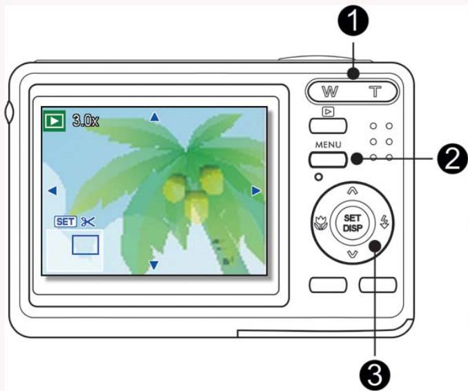 AGFAPHOTO DC-1033M - Agrandir les Photographies - 1