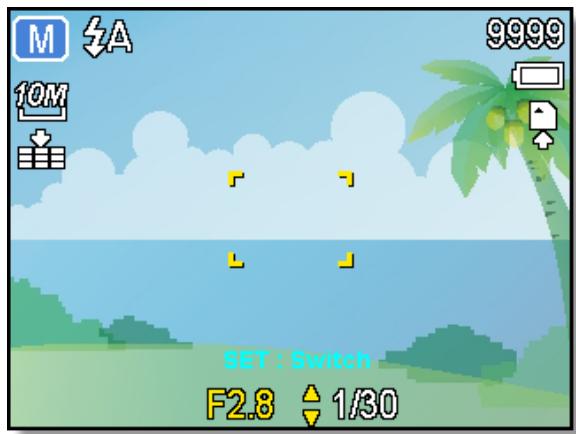 AGFAPHOTO DC-1033M - Utilisation de l'exposition manuelle - 1