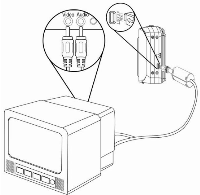 AGFAPHOTO DC-1033M - Visualisation d/images sur télévision - 1