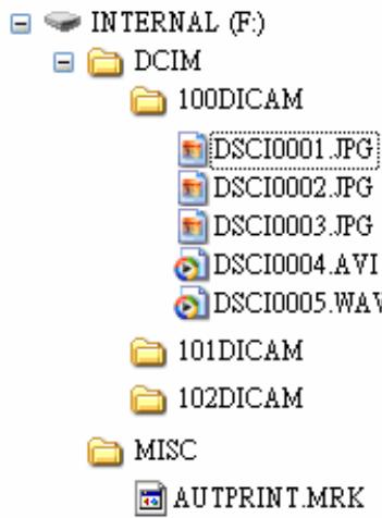 AGFAPHOTO DC-1338I - Structure de dossier - 1