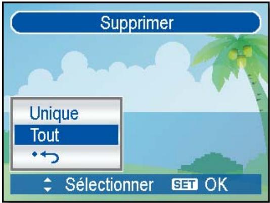 AGFAPHOTO DC-1338I - Supprimer tous les fichiers - 1