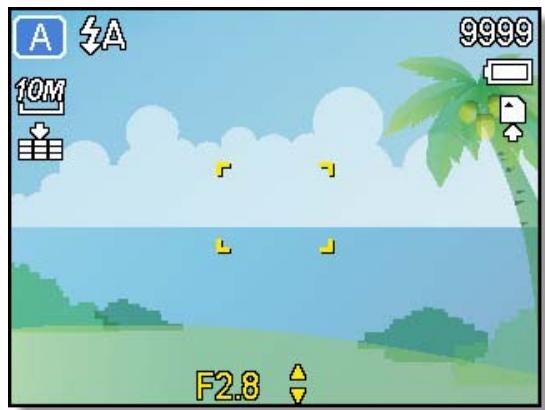 AGFAPHOTO DC-1338I - Astuce - 1