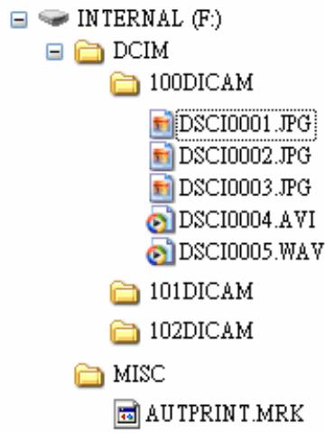 AGFAPHOTO DC-8330I - Structure de Dossier - 1