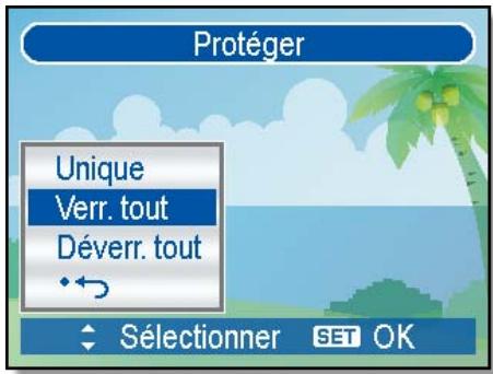 AGFAPHOTO DC-8338I - ProtégertouslesFichiers - 1