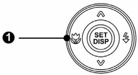 AGFAPHOTO DC-8338I - Utiliser le Mode Macro - 1