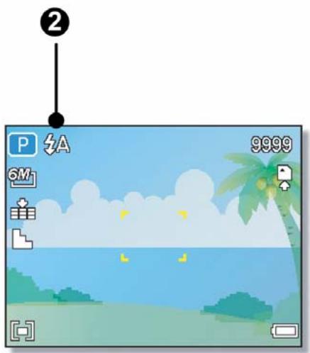 AGFAPHOTO DC-8338I - AVERTISSEMENT - 2