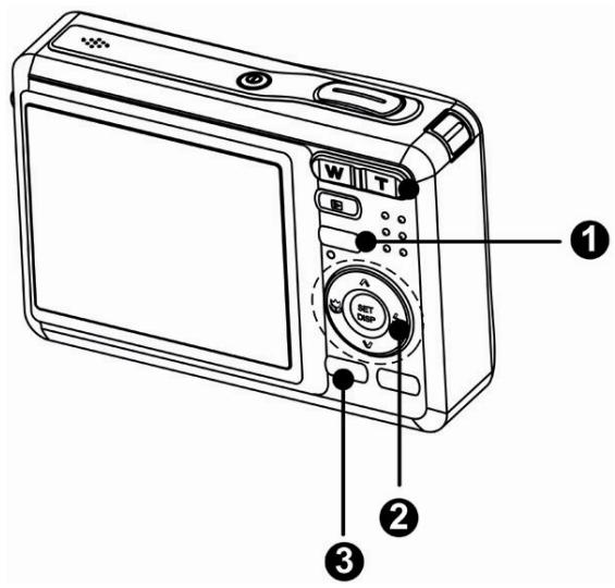 AGFAPHOTO DC-8338I - Effacement d'un seul Fichier - 1