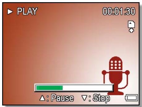 AGFAPHOTO DC-8338I - Revoir les sons - 1