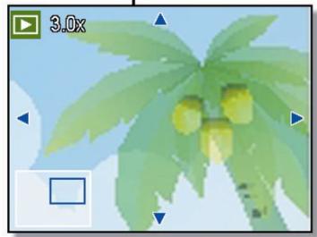 AGFAPHOTO DC-8338I - Revoir les Clips Video - 6