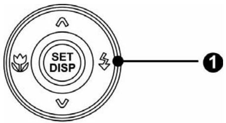 AGFAPHOTO DC-8338I - AVERTISSEMENT - 1