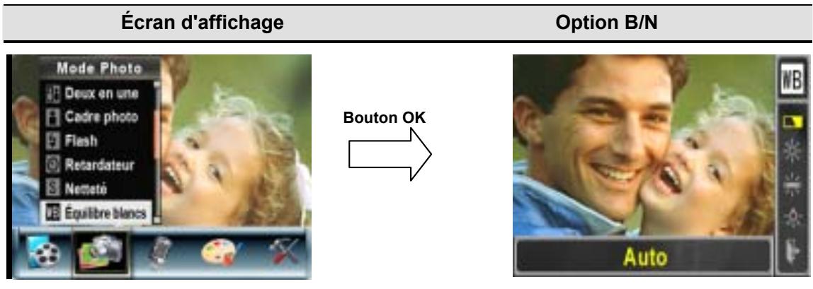 AGFAPHOTO DV-5000G - Équilibre des blancs - 2