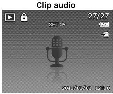 AGFAPHOTO OPTIMA 103 - Affichage en navigation unique - 3